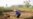 Rural Discontent Spotlights Those Left Behind