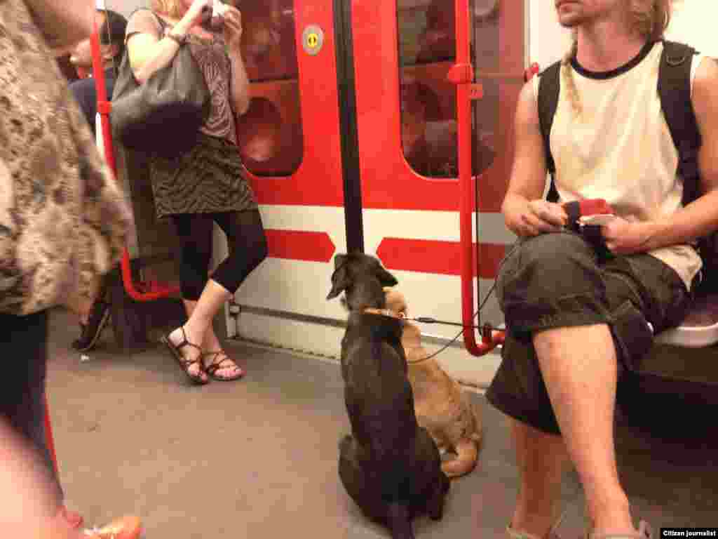 Тхуна а еза ахьа юург.