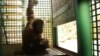 Калининград: в зоопарке орангутангов научили взвешиваться