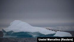 ذوب شدن یخ‌های قطب جنوب طی ۱۲ سال اخیر بر اثر گرمایش زمین سرعت بیشتری پیدا کرده است