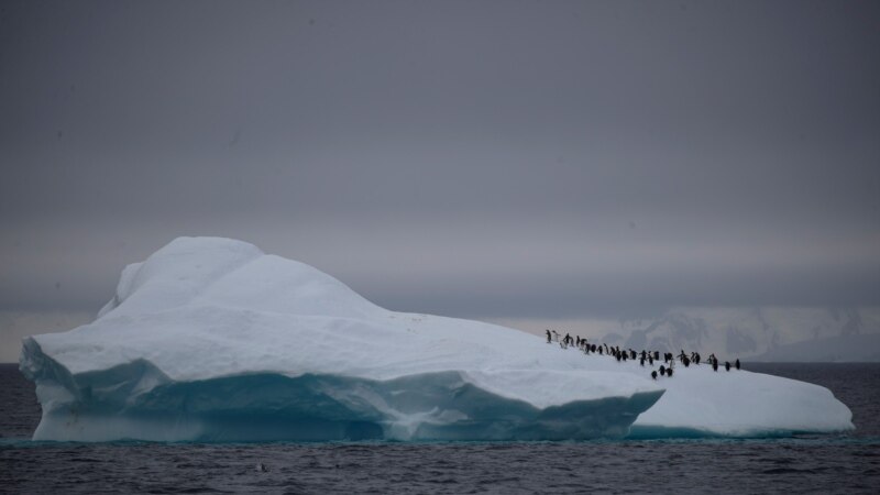 Антарктикада аба ырайы аномалдуу жылуу болуп жатат