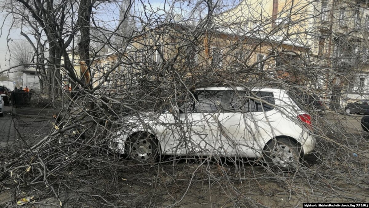 v-odesse-vetrom-povalilo-derevyya-i-bilbordy-esty-pogibshie В Одессе ветром повалило деревья и билборды, есть погибшие
