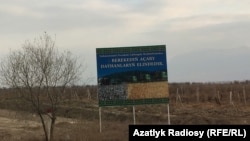 Daýhanlar şygarlarda aýdylýan zatlaryň hakykata o diýen gabat gelmeýändigini aýdýarlar.