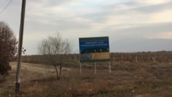 Diňle: Daýhanlar baglaryny sowukdan goramak üçin gijäni ok ýakyp geçirýärler