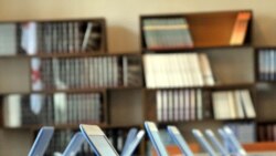 ხათუნა ბარამაძე გადადგომის შესახებ