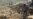 Afghanistan - Afghans clean up rubble left by Pakistani air strikes in Kunar Province on October 1 - AFP screen grab