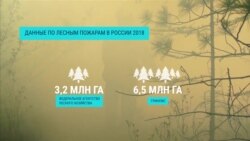 Чиновники vs экологи: как считают лесные пожары в России (видео)