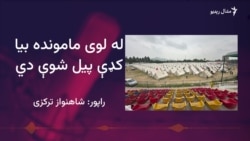 د باجوړ له ماموندو څخه لسګونه نورو کورنیو کډې کړې دي