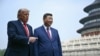 Президент США Дональд Трамп під час візиту до Китаю обговорював із лідером Китаю Сі Цзіньпін зокрема і питання Тайваню та України. Пекін, 14 травня 2026 року