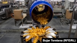 Kompania “Pestova” në Vushtrri, e cila merret me përpunimin dhe prodhimin e patates.