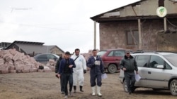Ռուսական սահմանափակումների ֆոնին՝ նախատեսվում է շաբաթական 40 տոննայի արտահանում՝ ԱՄԷ