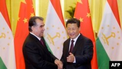 Presidenti i Taxhikistanit, Emomali Rahmon gjatë takimit me homologun e tij kinez, Xi Jinping, në Beijing, më 7 nëntor. 