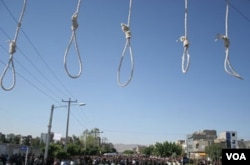 Приготовленная виселица для казни. Иран.