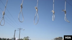 مقام وزارت خارجه آمریکا می‌گوید سازمان‌های حقوق بشری در ۱۰ ماه گذشته بیش از ۴۰۰ مورد اعدام را در ایران به ثبت رسانده‌اند.