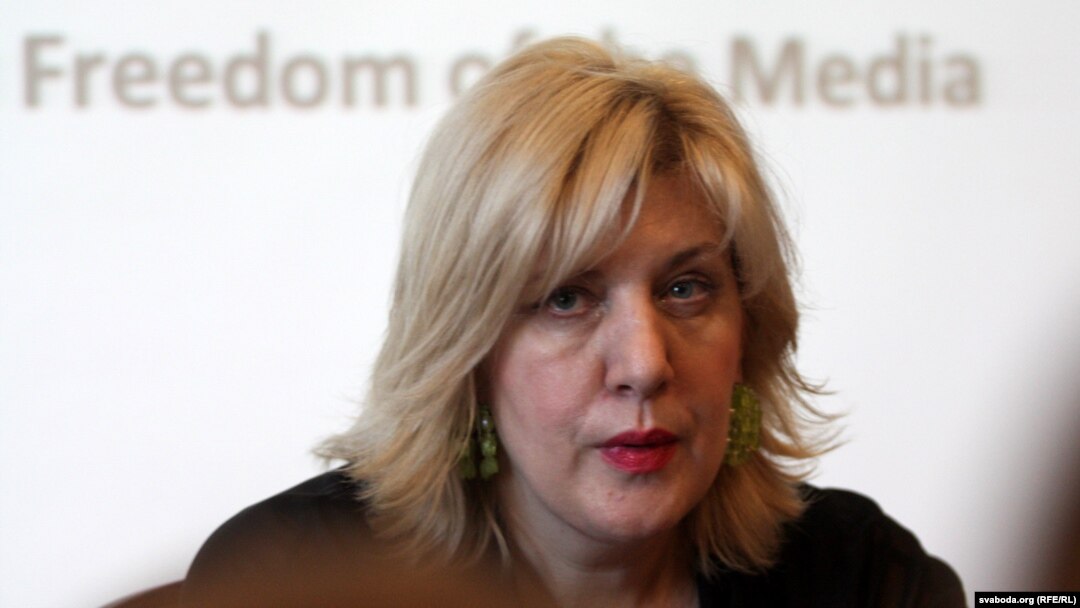 ATƏT-in Media Azadlığı üzrə Təmsilçisi Dunja Mijatovic