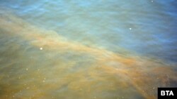 Водата в пристанището, езерото и залива на Варна е с мръсно кафяв цвят. Причината е скъсан водопровод, от който се изливат фекални води