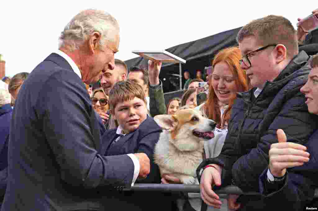 Regele Charles al III-lea se întâlnește cu o femeie care ține în brațe un corgi, la Castelul Hillsborough, 13 septembrie 2022. &nbsp; Prințul William declara în urmă cu mulți ani că animalele de companie ale reginei au fost secretul pentru a o face fericită pe bunica sa, deși a precizat că acestea pot fi zgomotoase. Cei patru câini pe care îi avea regina înainte de deces vor locui cu fiul ei, prințul Andrew.