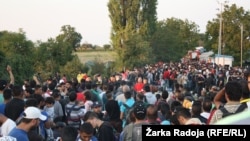 Refugiați la Berkasovo, municipalitatea Sid, Serbia, în apropiere de granița cu Croația, 23 septembrie 2015.