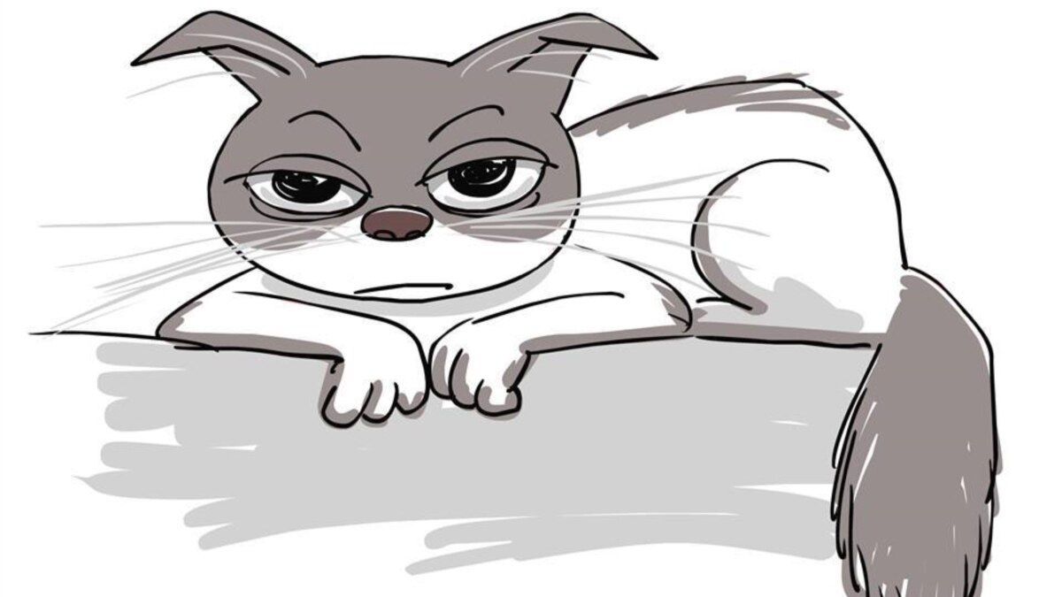 Целительный котофеномен