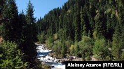 Іле Алатауы ұлттық паркіндегі Ақсай шатқалы. Алматы болысы. (Көрнекі сурет).