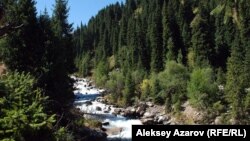 Іле Алатауы ұлттық паркіндегі Ақсай шатқалы. (Көрнекі сурет).