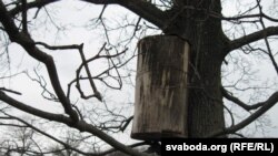 Чернобыль, 2011