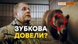 Зубков закроет «Тайган» и застрелит медведей? | Крым.Реалии ТВ (видео)