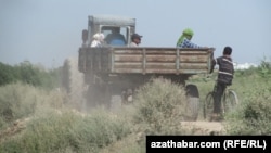 Adamlar oba hojalyk işlerine alnyp barylýar, Türkmenistan