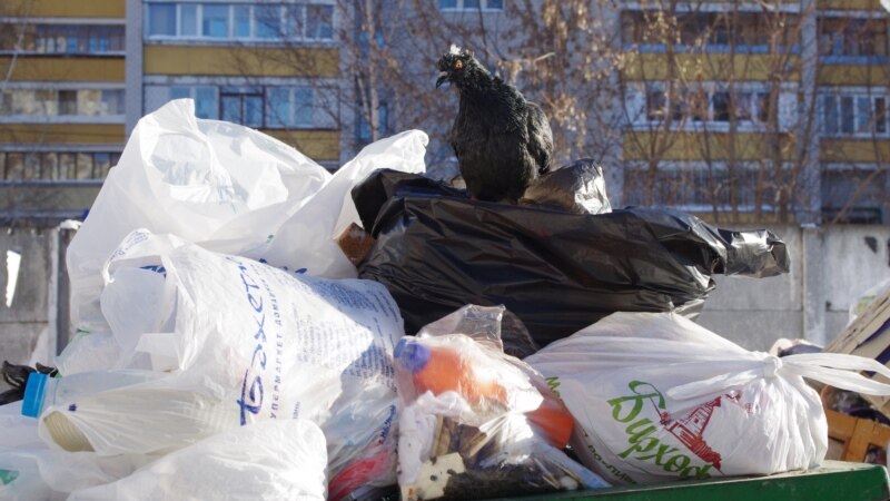 Мэр Казани призвал перерабатывать около половины ежедневно вывозимых из города отходов