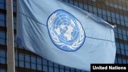 بیرق سازمان ملل متحد. عکس جنبه تزئینی دارد