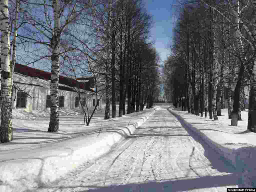 A walkway through the &ldquo;strict regime&rdquo; zone lined by silver birch trees. Laborers in the camps were predominantly tasked with logging.