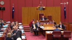 د اسټراليا پارلېمان د پردې او چادرۍ مخالفې سیاستوالې غړيتوب ځنډولی