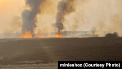 Загараньне сухой расліннасьці на паплавах Прыпяці. 10 сакавіка 2025 