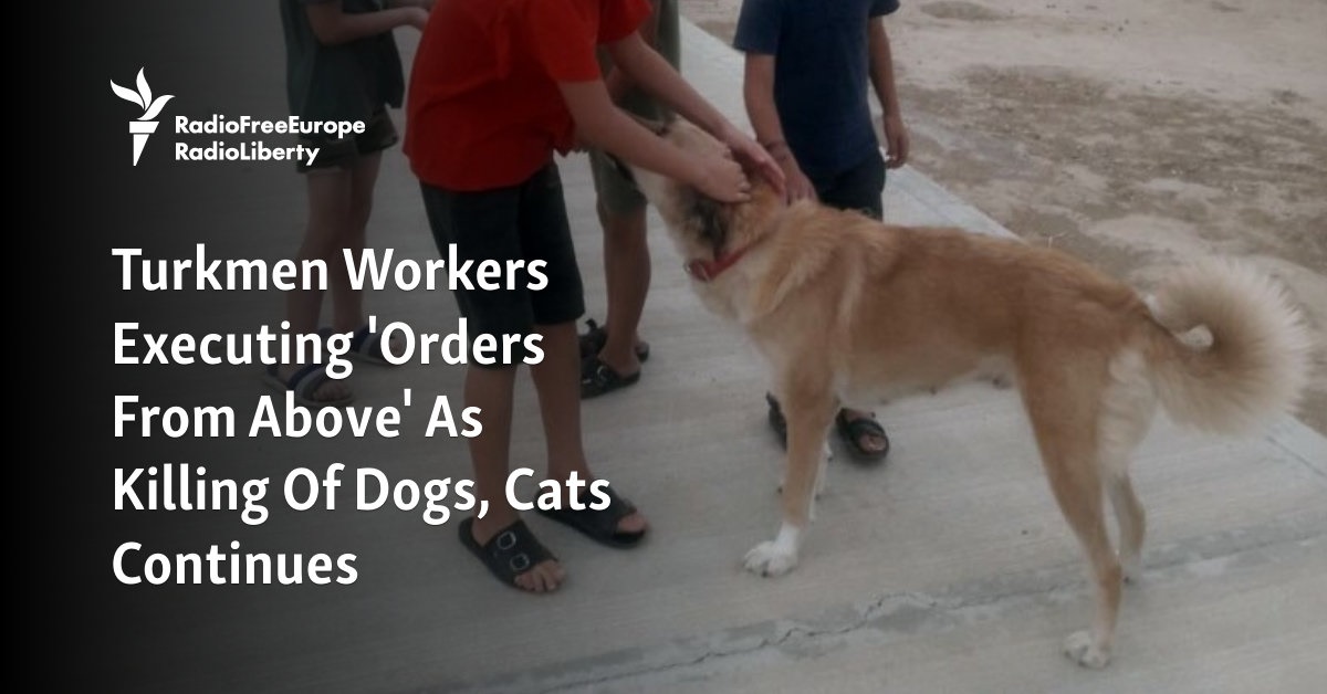 Turkmen Workers Executing 'Orders From Above' As Killing Of Dogs, Cats Continues - Vimarsana News