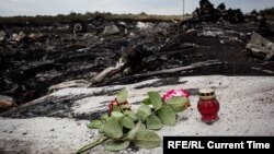 Место крушения пассажирского рейса MH17, Грабово, Донецк, Украина.