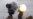 Divisions Over Arming Libyan Rebels