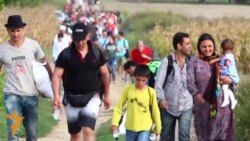 Arritja e migrantëve në Kroaci