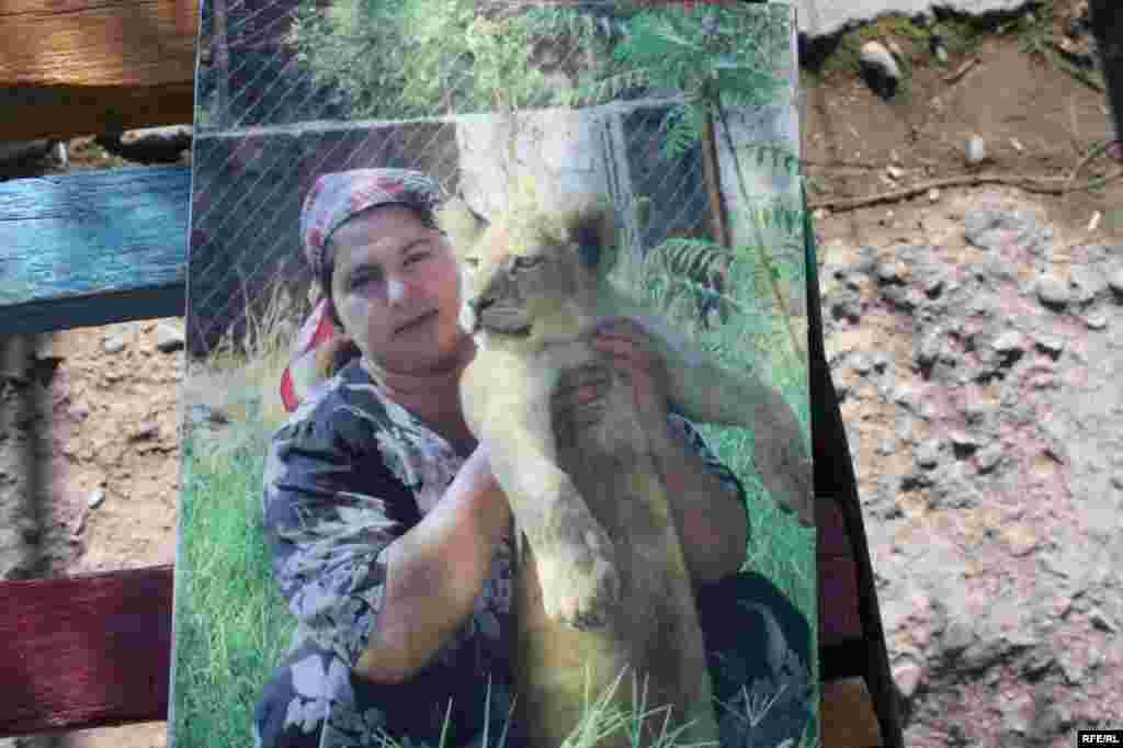 “Ошиқон”-и ҳайвонот #15