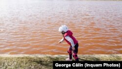 Apa lacului IOR a căpătat o culoarea roșiatică în această primăvară. Ministerul Mediului spune că ar fi vorba de o algă 