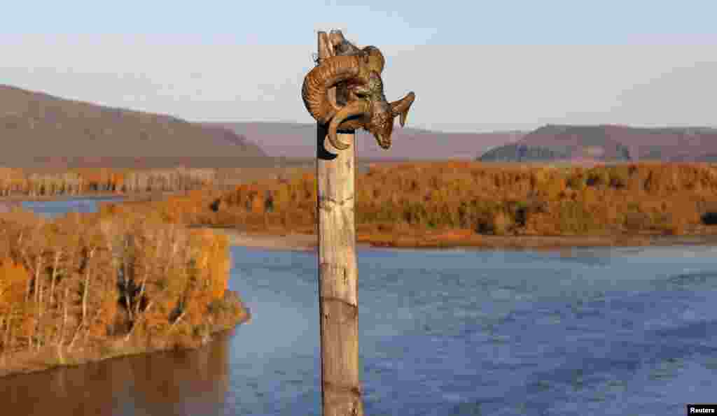A sheep's head marks a shamanic site along the Yenisei River. Shamanic belief holds that, just as people are nourished by eating the flesh of animals, so the spirits of wild animals are nourished by the death of humans in the wilderness. "If a person is lost in the forest or drowns in a river, then the hunters think that the spirits will have been reimbursed for game or fish taken." 