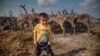 Four-year-old Igor poses near his family&#39;s reindeer herd in the Yamalo-Nenets Autonomous District.
