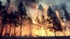 Пожары в России: не торфяные, так лесные