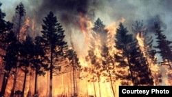 Пожары в Томской области
