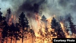 Лесной пожар в Сибири 