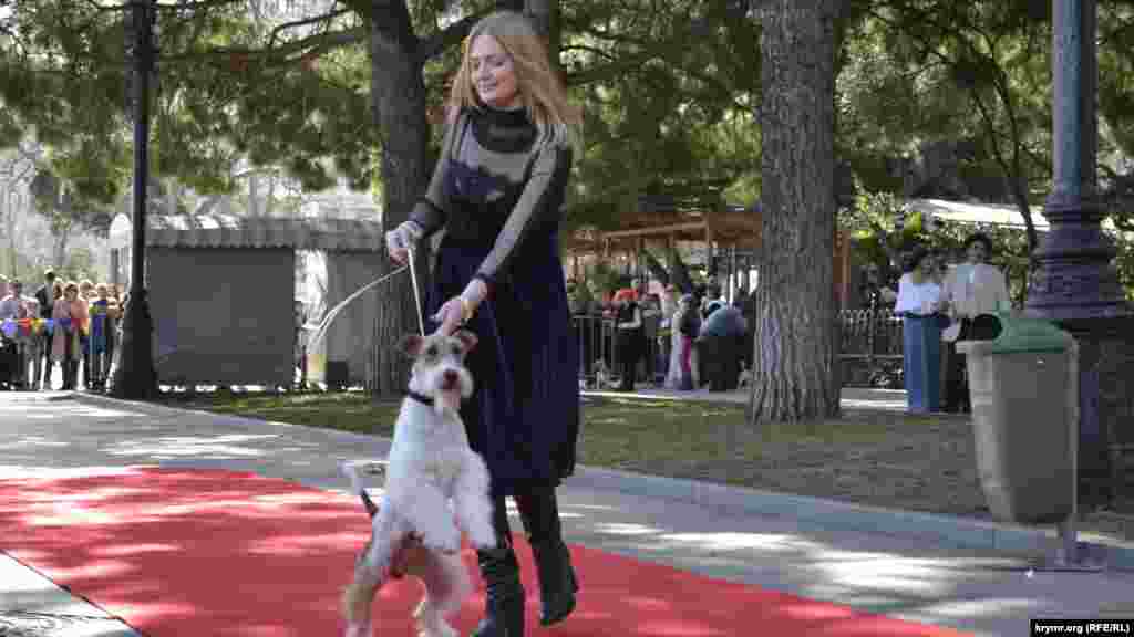 Променад &laquo;Дама з собачкою&raquo;: на червоній доріжці були конкурси на кращий одяг для собачок і найграційнішу&nbsp; пані з собачкою