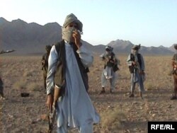 Талибы в провинции Урузган
