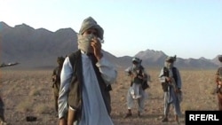 شبه نظامیان طالبان در استان فراه- عکس تزئینی است