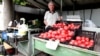Hope and fear in Bulgaria as eurozone entry looms