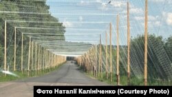 Антидронові тунелі на прикордонні Сумщини
