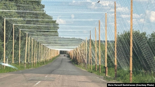 Антидронові тунелі на прикордонні Сумщини